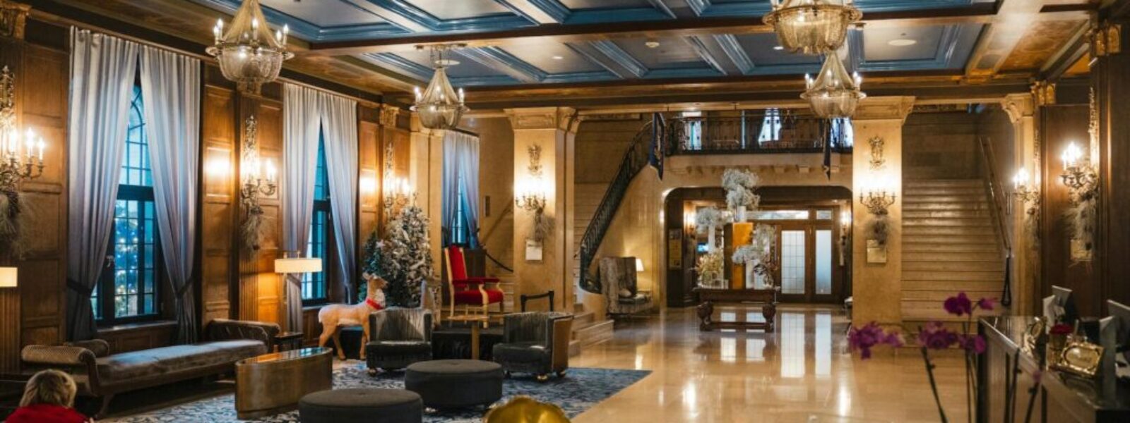 accommodation events wellington — Accomodation