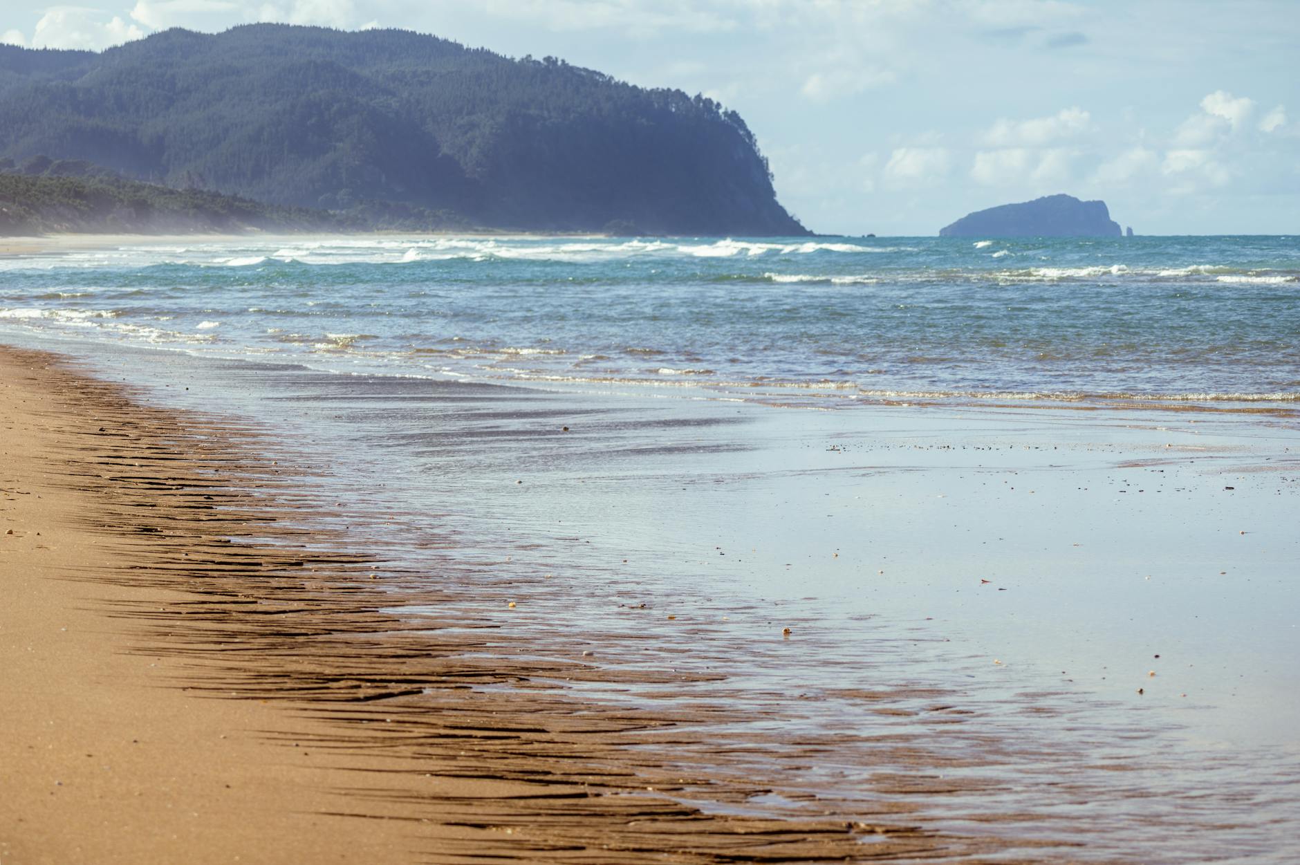 school holiday programmes New Zealand