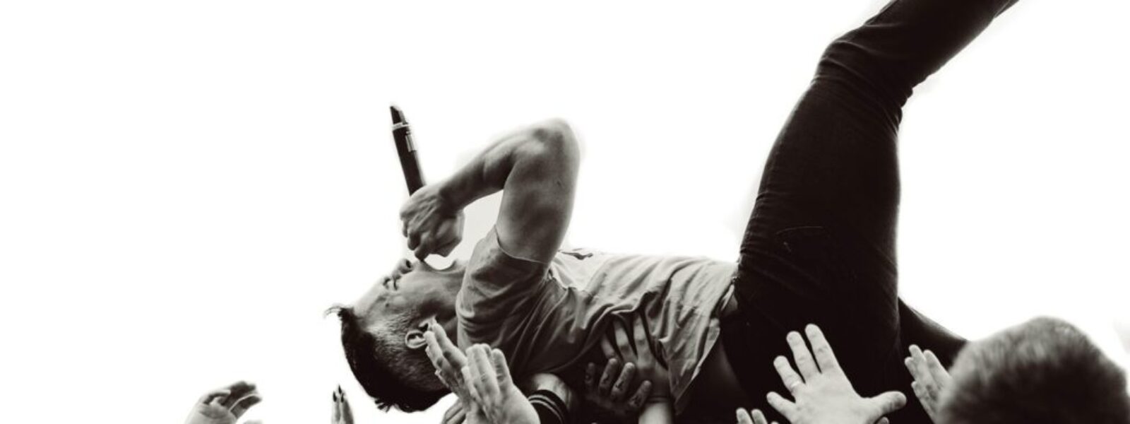 Wellington festivals guide — Festivals