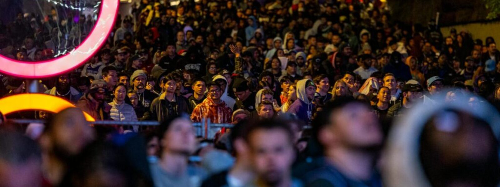 Wellington festival funding — Festivals