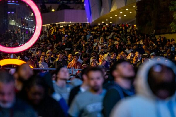 Wellington festival funding — Festivals