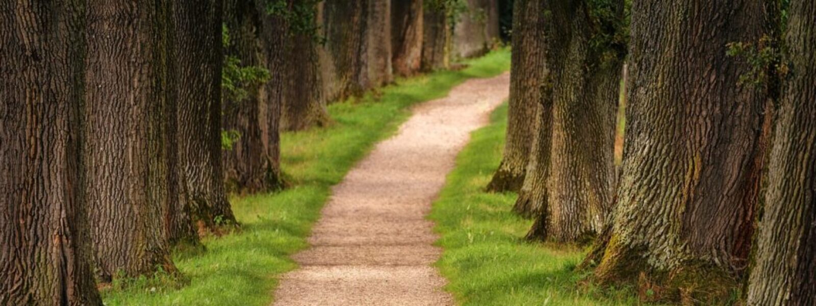 Wellington hiking trails — Hiking & Walking