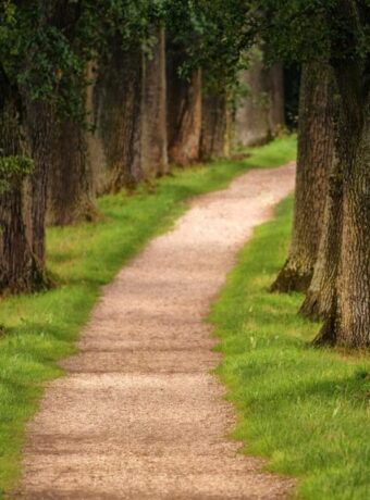 Wellington hiking trails upgrades — Hiking & Walking