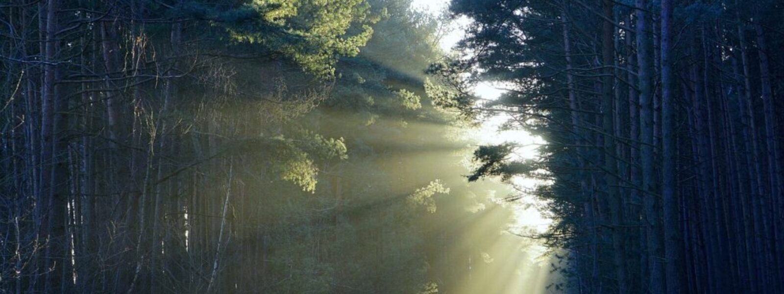 hiking track closures — Hiking & Walking