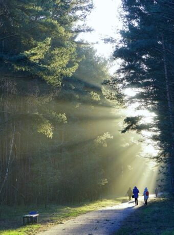 hiking track closures — Hiking & Walking
