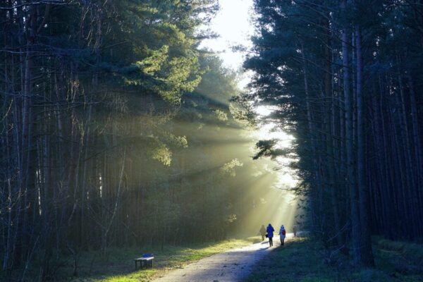 hiking track closures — Hiking & Walking