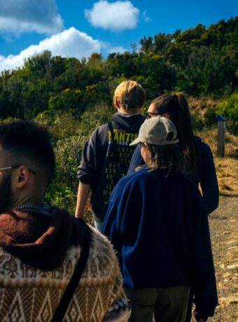 Wellington hiking trails — Hiking & Walking