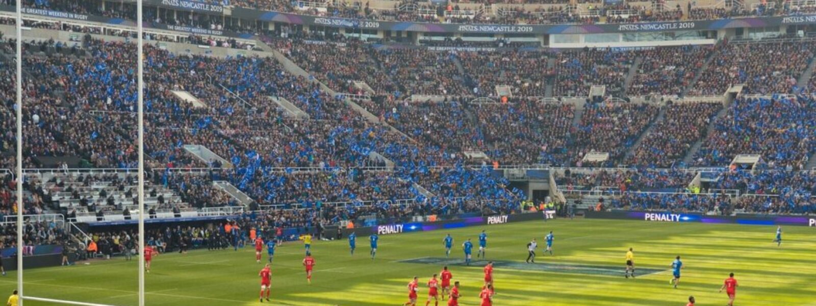 Wellington live sport — Live Sport