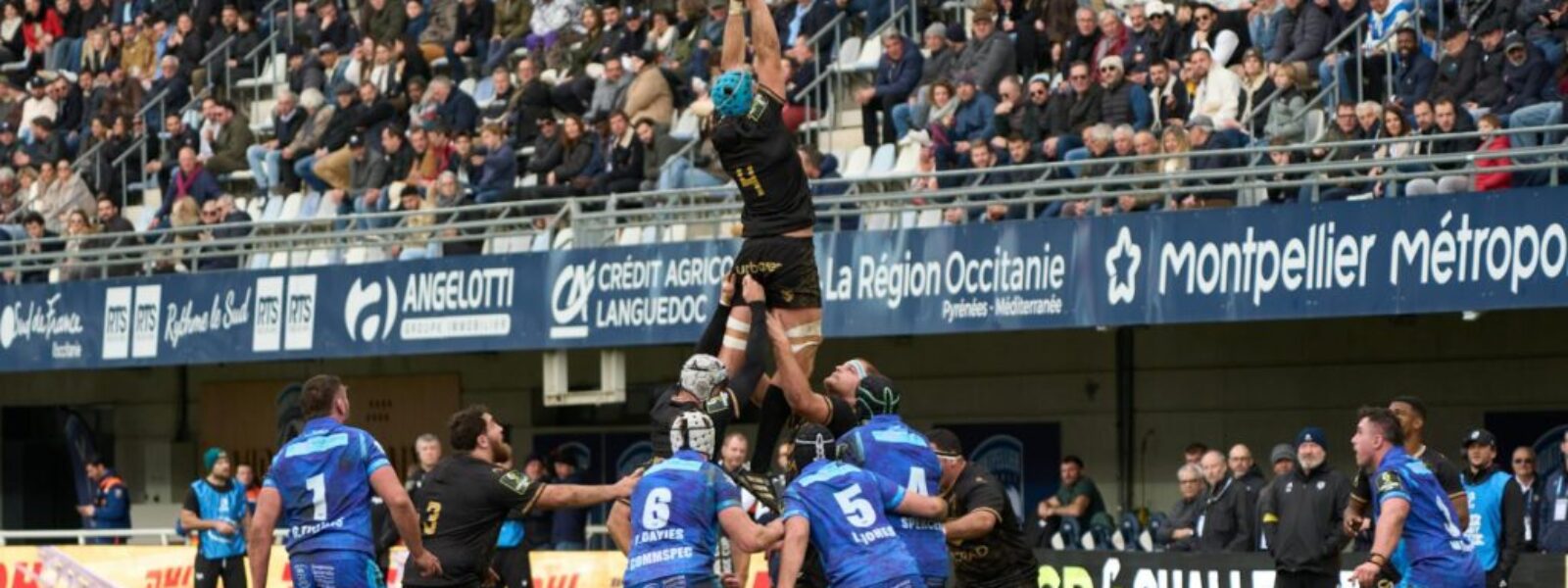 Warriors live sport attendance — Live Sport