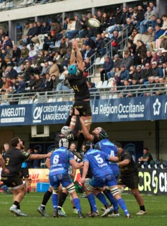 Warriors live sport attendance — Live Sport