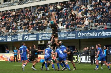 Warriors live sport attendance — Live Sport