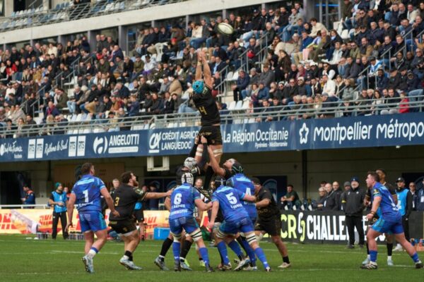 Warriors live sport attendance — Live Sport