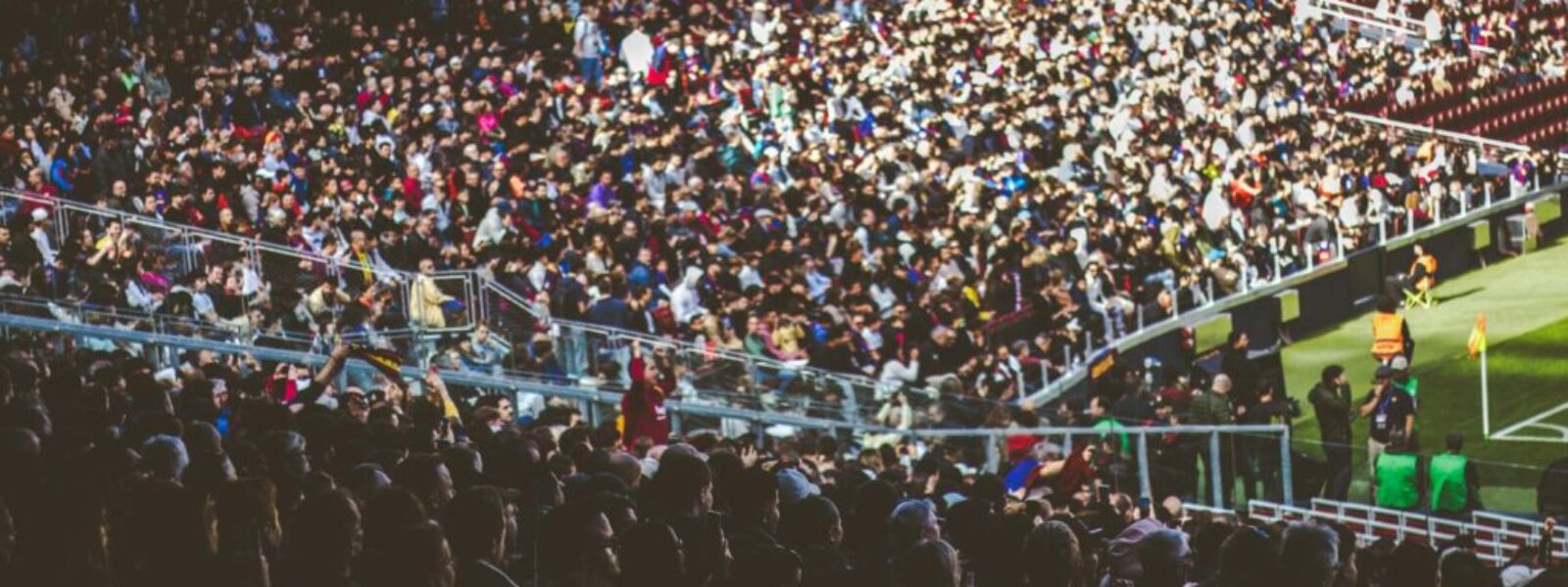 Wellington Phoenix stadium deal — Live Sport