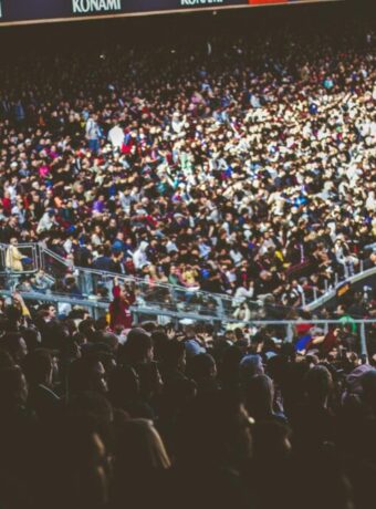 Wellington Phoenix stadium deal — Live Sport