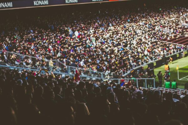 Wellington Phoenix stadium deal — Live Sport