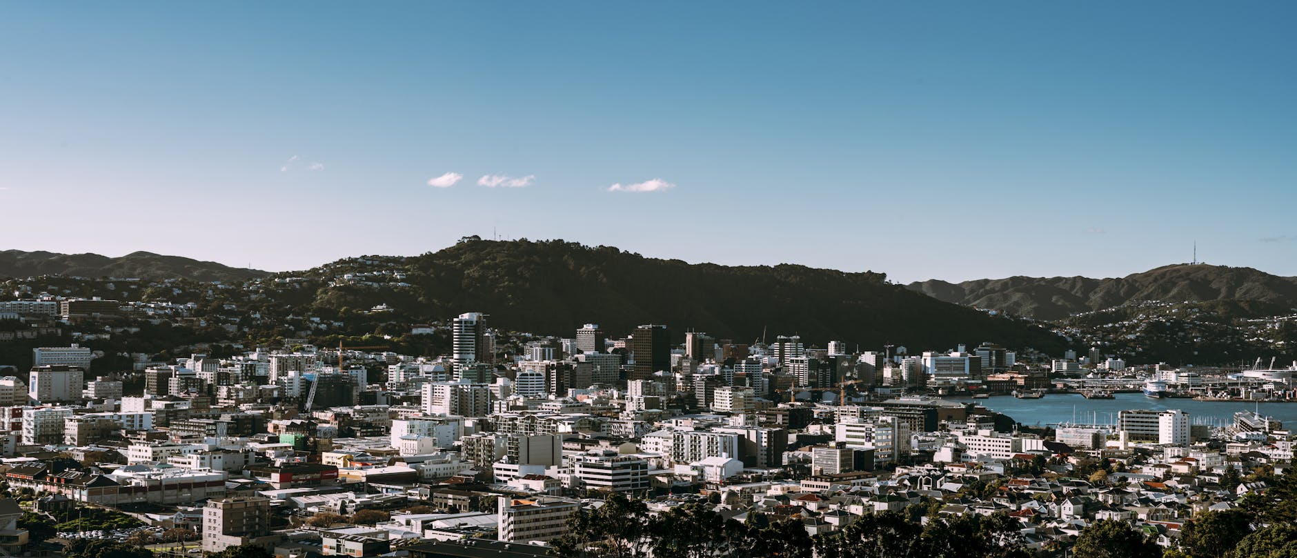 Wellington Phoenix stadium deal New Zealand