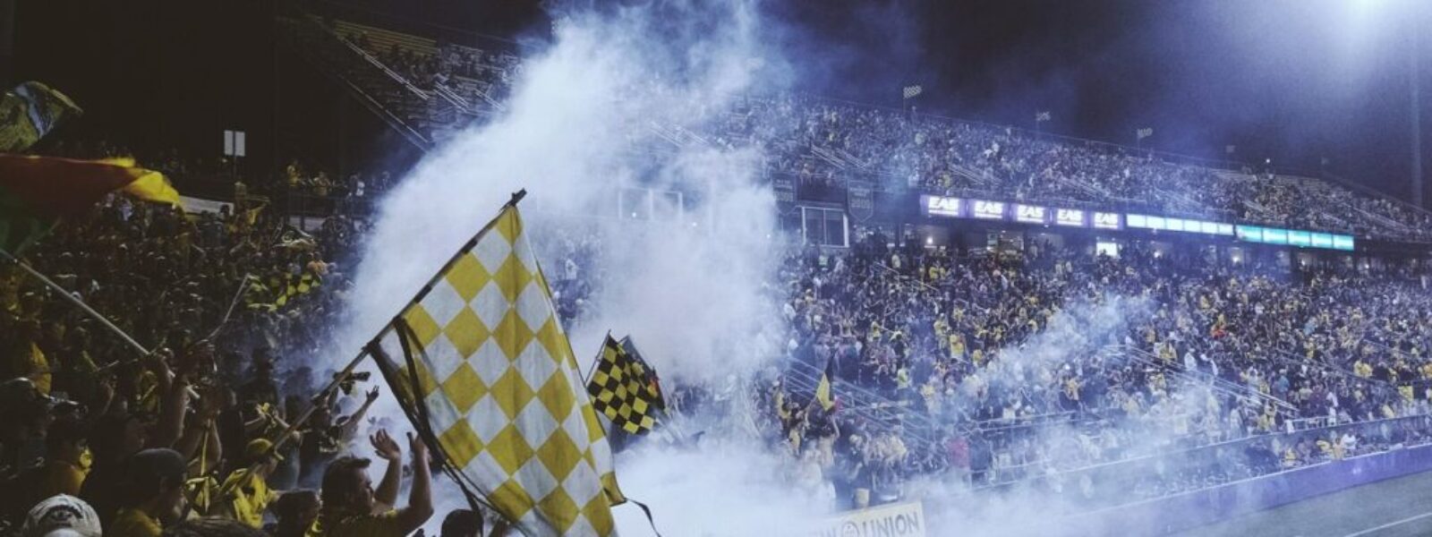 live sport Wellington — Live Sport