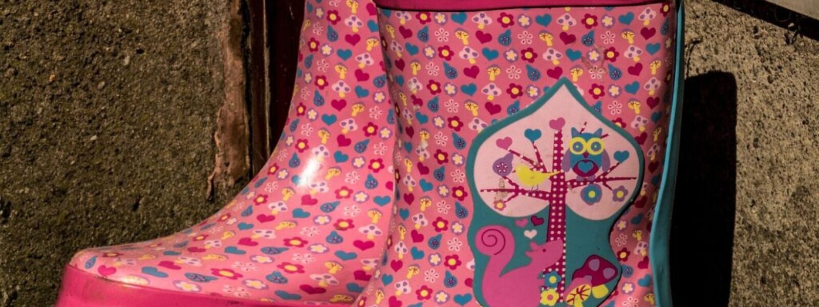 Wellington ghost tours — Tours & Activities