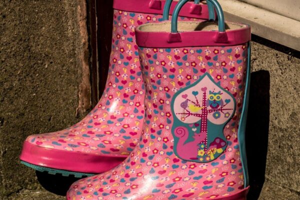 Wellington ghost tours — Tours & Activities