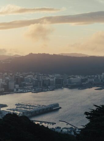 Wellington tours activities — Tours & Activities