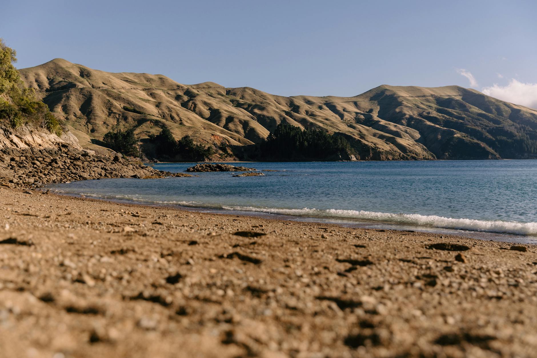 school holiday programmes New Zealand