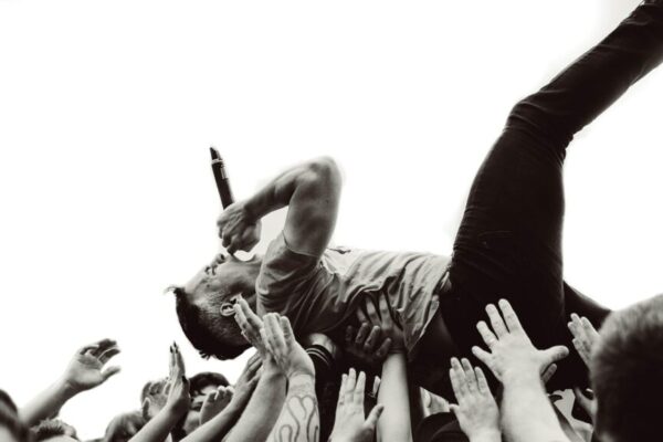 Wellington festival attendance — Festivals