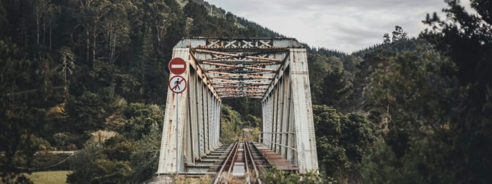 Wellington walking track closures — Hiking & Walking