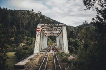Wellington walking track closures — Hiking & Walking