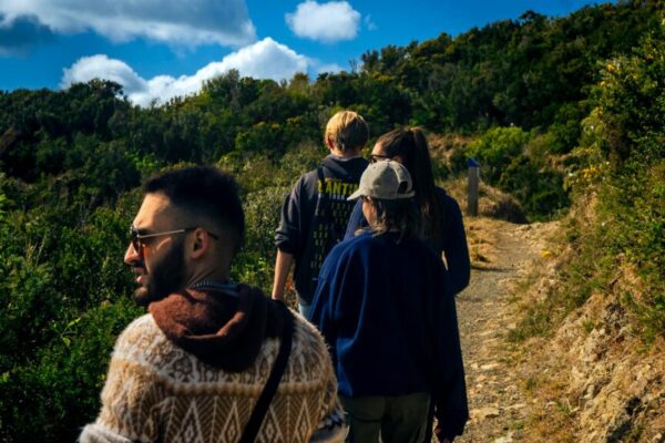 Wellington hiking safety — Hiking & Walking