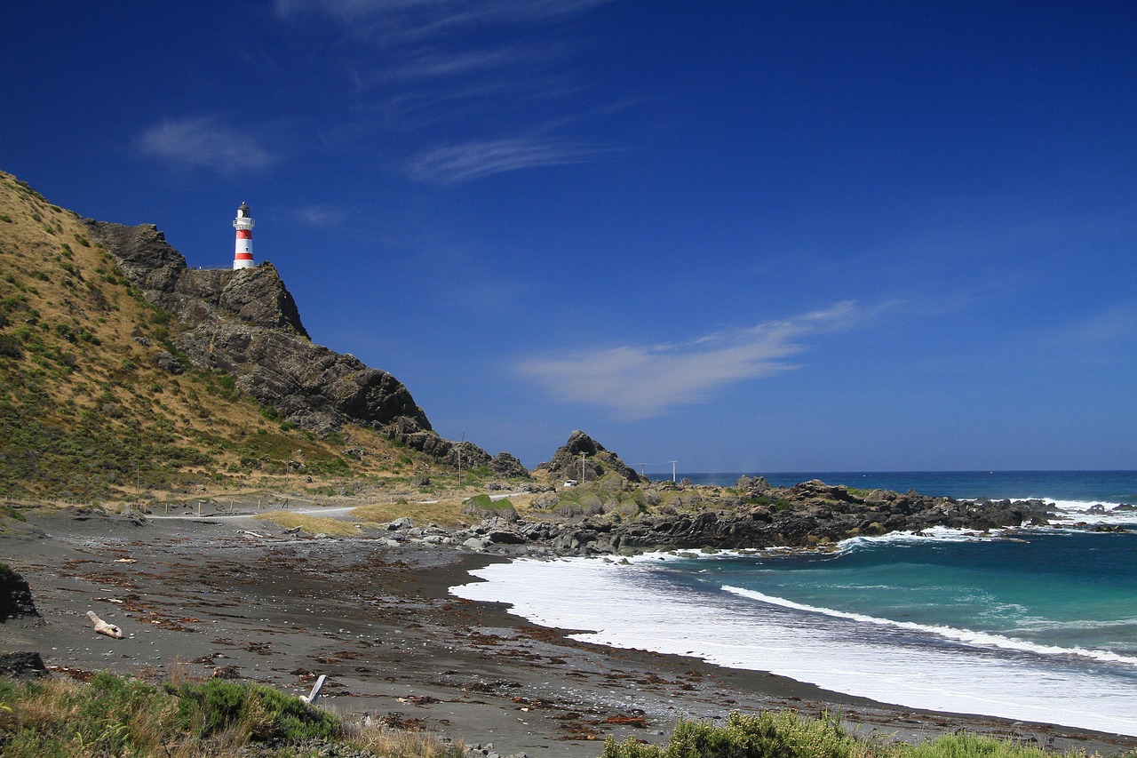 Wellington hiking safety New Zealand