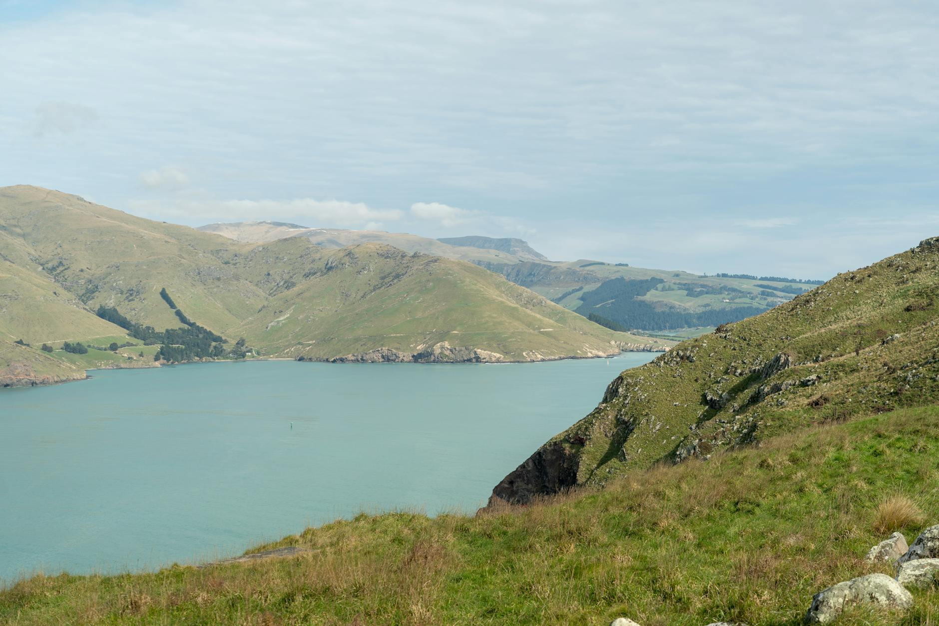 Great Harbour Way hiking New Zealand