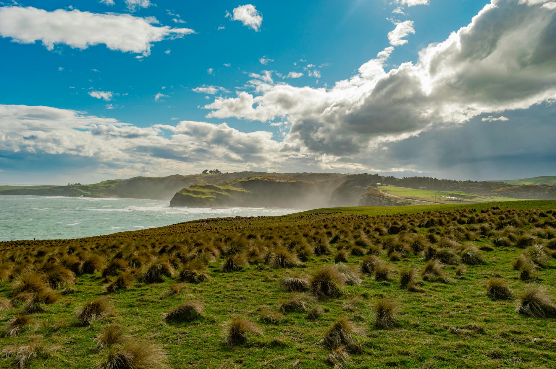 Te Papa digital museum New Zealand