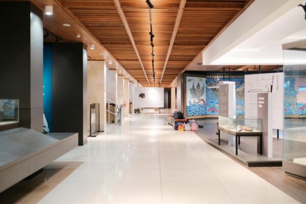 museum arts funding — Museum & Arts