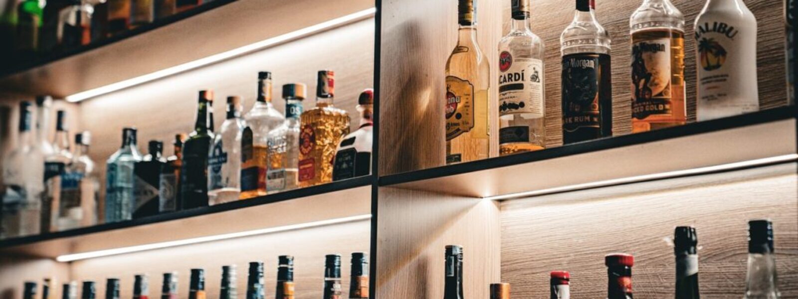 wellington nightlife revival — Nightlife