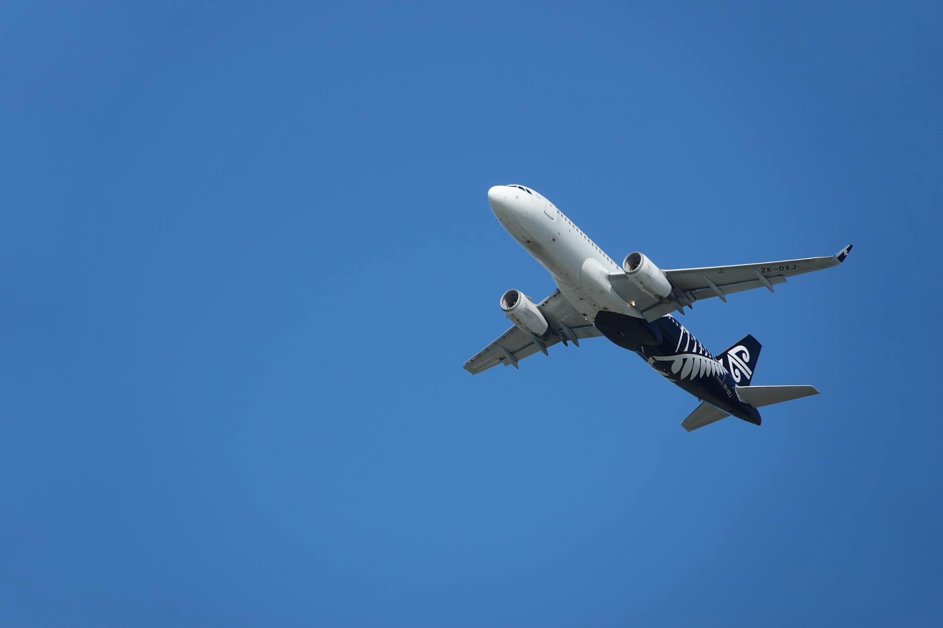 tourism recovery boom New Zealand