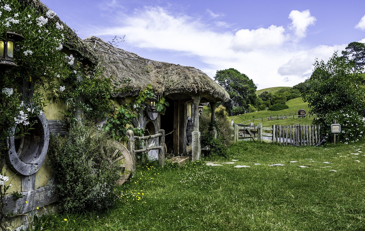 school holiday programmes New Zealand
