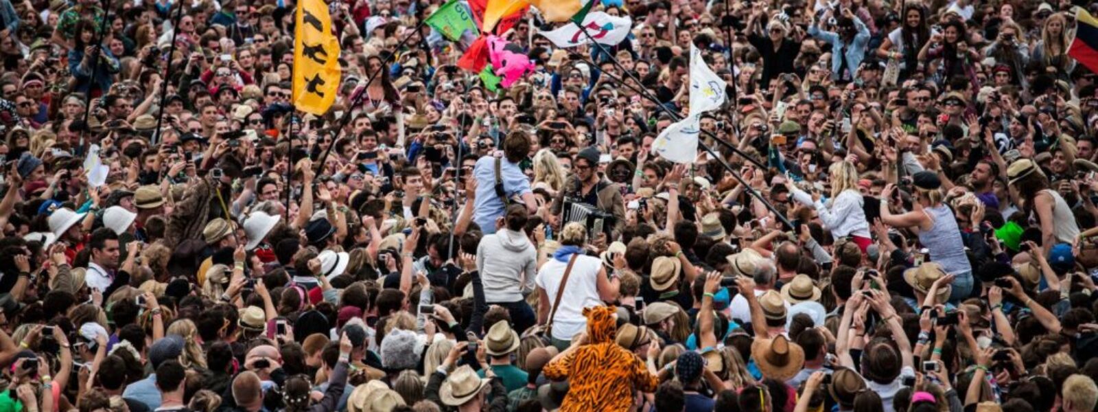 Wellington festival funding — Festivals