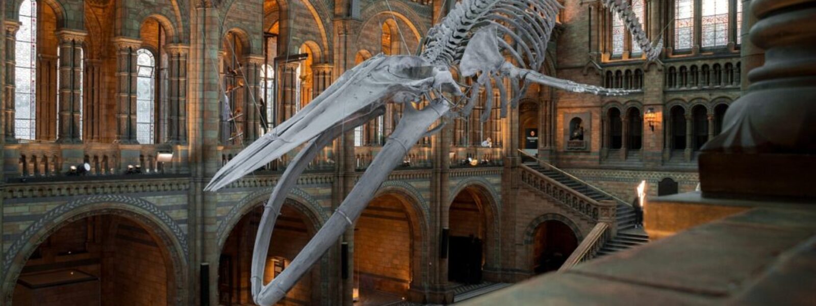 Wellington museum funding — Museum & Arts