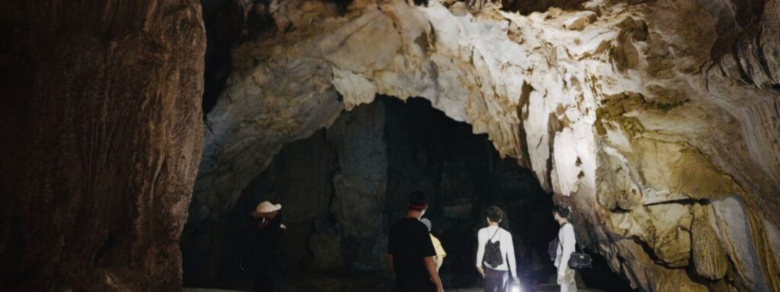 Wellington cave tours — Tours & Activities