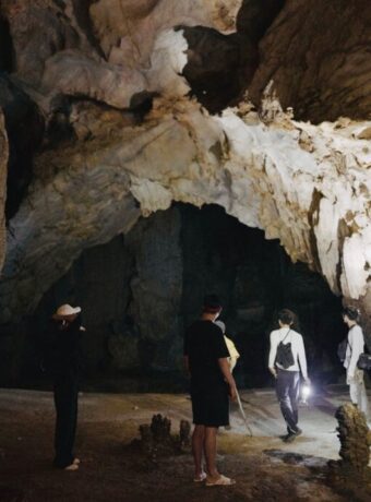 Wellington cave tours — Tours & Activities