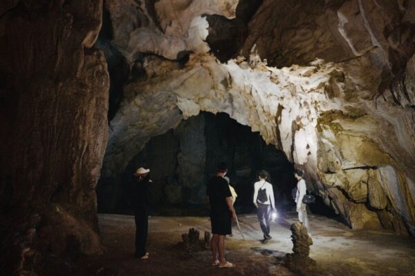 Wellington cave tours — Tours & Activities