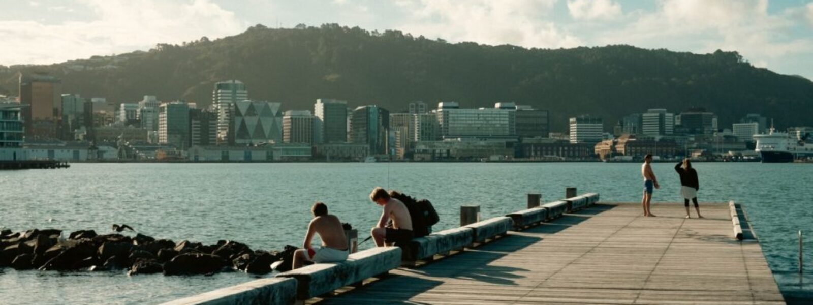 Wellington walking tours — Tours & Activities