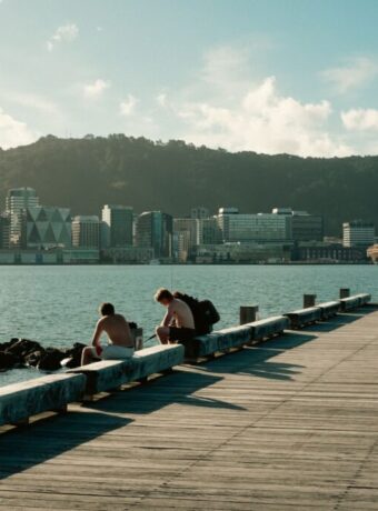 Wellington walking tours — Tours & Activities